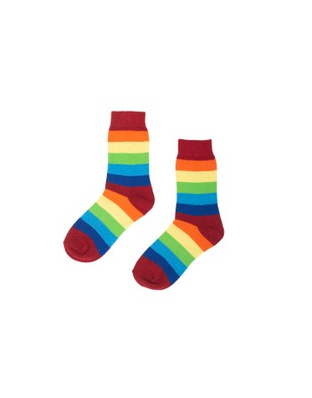 Rainbow striped socks